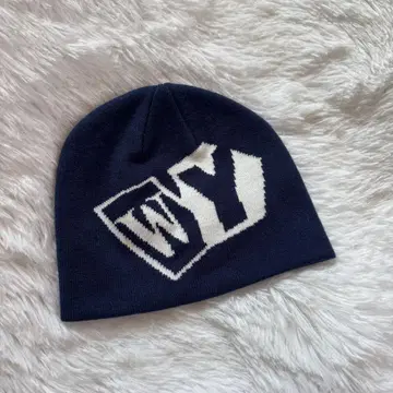 wasted youth VERDY 웨스티드 유스 비니 니트 모자