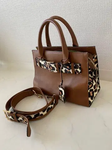 다이애나 백 레오파드 무늬