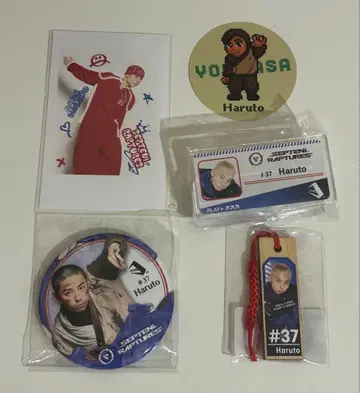 SEPTENI RAPTURES 하루토 세트 D리그