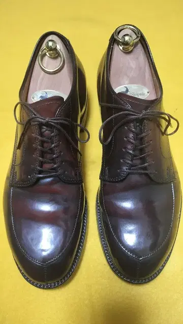 알든 54321 7D V칩 코도반 알든