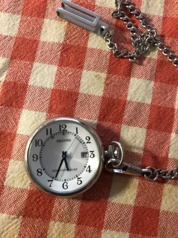 REGUNO 전파시계 회중시계 실버 계열