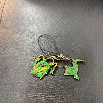 포켓몬 참 메가레쿠자 레쿠자