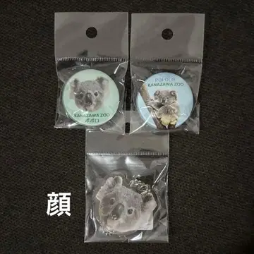 카나자와 동물원 코알라 포포로 아크릴 키링 [얼굴] 유리 마그넷 세트