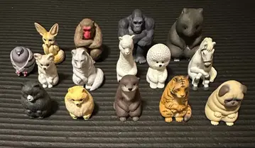 기다림 애니멀 치와와 고릴라 퍼그 원숭이 늑대