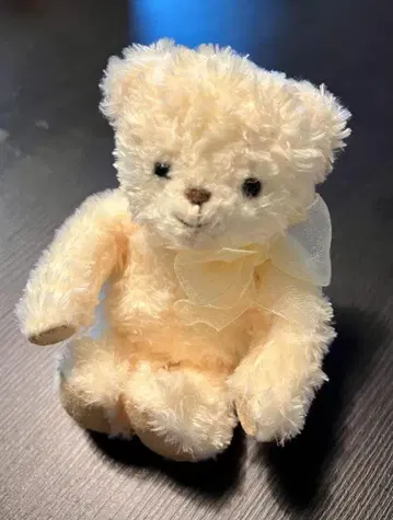 [ 새상품 ] 쁘띠루우 테디베어