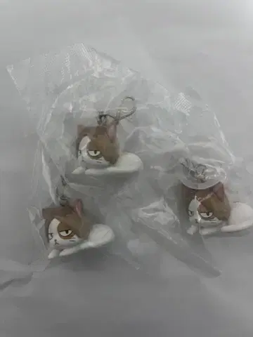 하이큐 애니멀 흔들흔들 마커 켄마 고양이