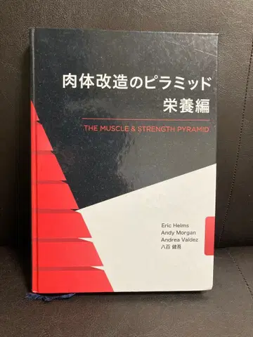 신체 개조의 피라미드 영양편