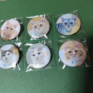 고양이 카페 moff 가챠가챠 캔뱃지