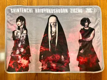 진 천지개벽 집단 지그재그 담요 타워 레코드