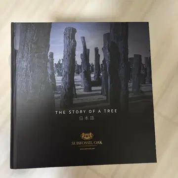 오사카 만박 문명의 숲