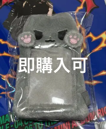 Aespa 카리나 트레이딩 카드 케이스 마스터 just님