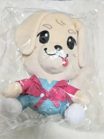 이와타 타카노리 록키 BIG 봉제 인형 새상품