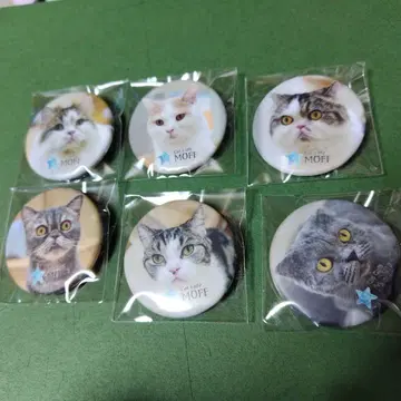 고양이 카페 moff 가챠가챠 캔뱃지