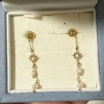 귀걸이 BLOOM 블루