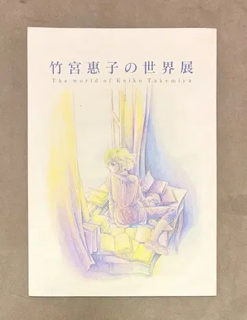 사인 포함 다케미야 케이코 세계전 도록