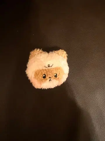 popup zb1 zeroni 배지 봉제 인형 장하오 하니니