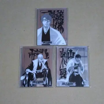 BLEACH 메탈릭 마그넷 컬렉션 3