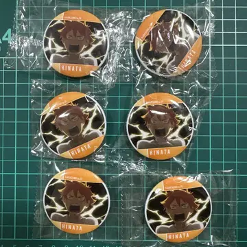 하이큐 히나타 쇼요 메모리얼 캔뱃지 6개