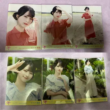 이코라브 사사키 마이카 바다와 레몬티 컴프 세트