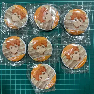 하이큐 히나타 쇼요 메모리얼 캔뱃지 7개