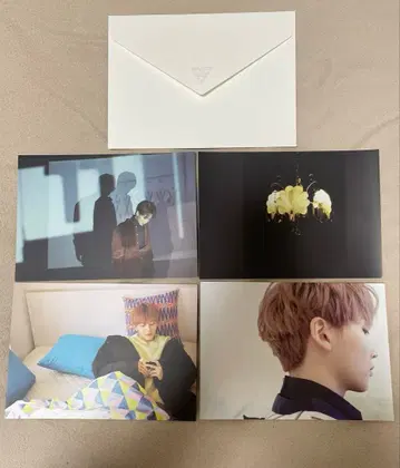 정한 director's cut 엽서