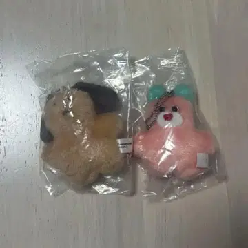 개와 곰 봉제 인형 세트