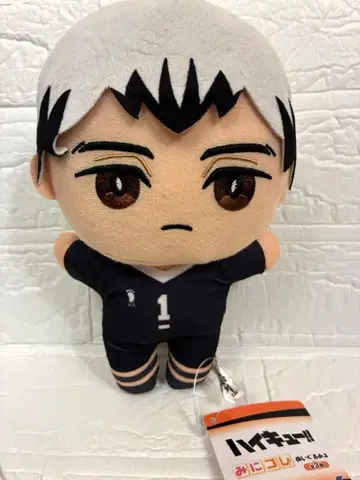 하이큐 미니코레 봉제 인형 3 키타 신스케