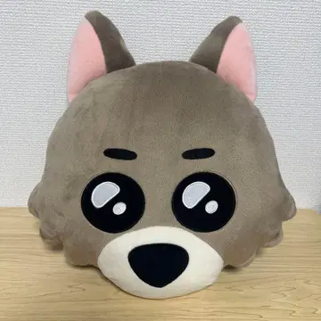 BOYNEXTDOOR 재현 명명 부넥도