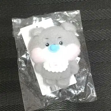 ZB1 제로니 고니니 고누크 베이비 플러시