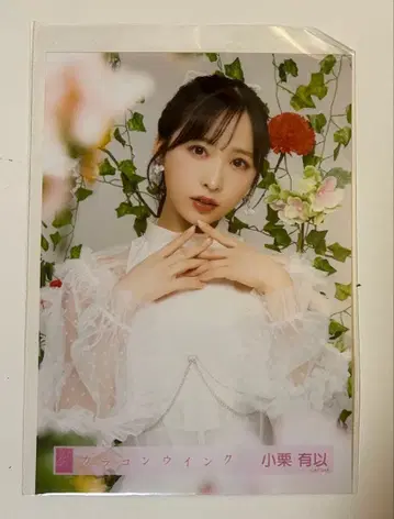 AKB48 오구리 유이 브로마이드