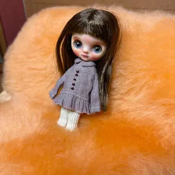 미니 브라이스 커스텀 브라이스 아웃핏 포함