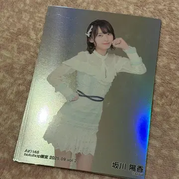 사카카와 히카루 홀로 2