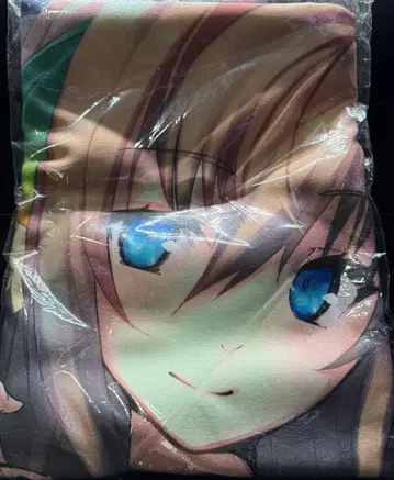 이온 빅 타월 아르노사쥬 PLUS