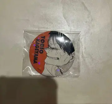 카게야마 토비오 올스타 캔뱃지 16개