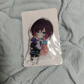 Crazy Raccoon 아크릴 스탠드