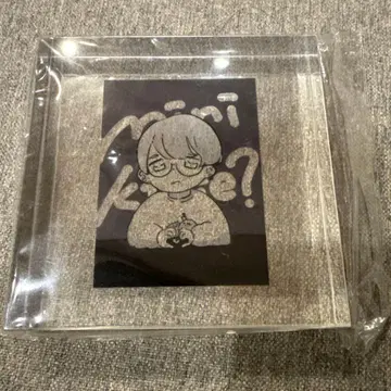 한계 알로에 아크릴 블록