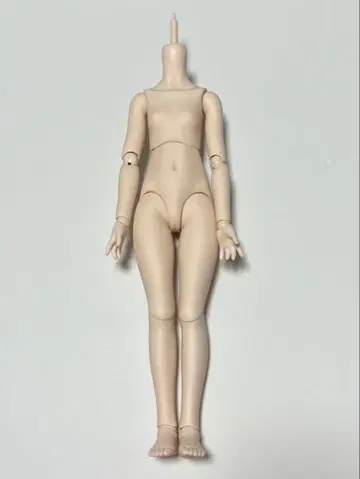 mdd 베이스 바디 2.0 ( DD-f3 ) 세미 화이트