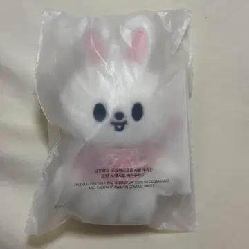 Stray Kids 스키즈 팬미팅 봉제 인형 plush Leebit