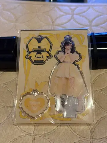 스가타 아키 아크릴 스탠드 키링