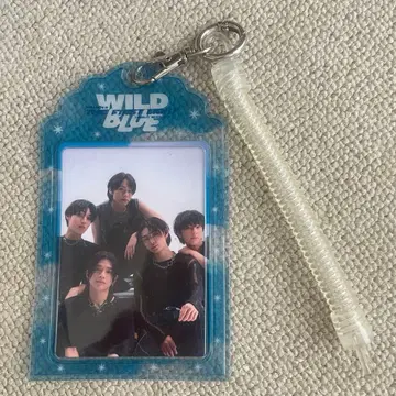 WILD BLUE 트레이딩 카드 & 트레이딩 카드 케이스 굿즈