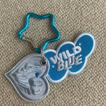 WILD BLUE 와펜 키링 굿즈