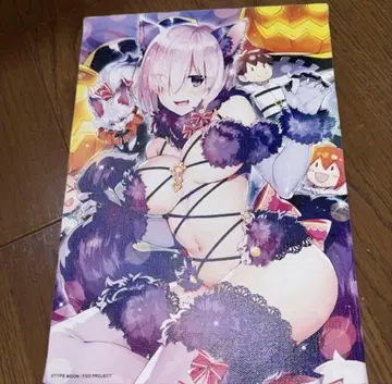 Fate/Grand Order 다 빈치 뮤지엄 캔버스 아트