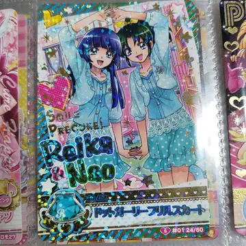 프리큐어 데이터 카드더스 레이카&나오