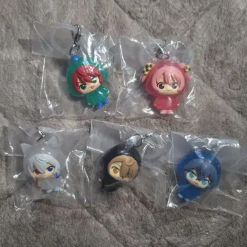 컬러풀 피치 메지루시 액세서리 5개 세트