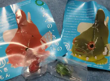 바닷가 생물 마그넷 & 볼체인 2 꼼치 세트