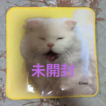 Royz 이나기 홋카이도 미니 타월