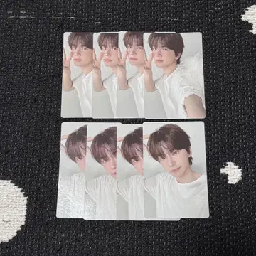 시뉴 트레이딩 카드 TWS playhard compact 봉입