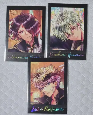 악마고양이 파샤코레 로노 유한 하나마루