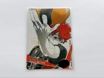 하이큐 바보카 히나타 쇼요 극