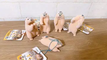 히말라야 마모트 마모치 플로키 마스코트 키링 인형뽑기 경품 5개 세트